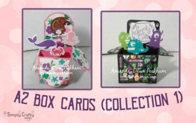 A2 Box Cards by DT Amanda