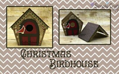 Christmas Birdhouse by DT Leslie