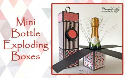 Mini Bottle Exploding Boxes by DT Janet
