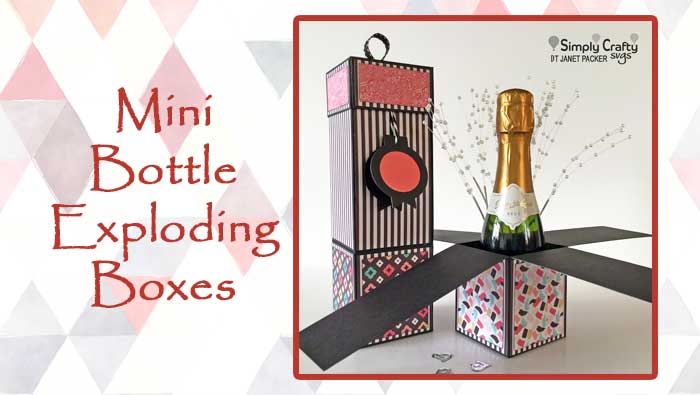 Mini Bottle Exploding Boxes by DT Janet