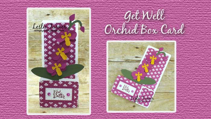 Get Well Orchid Box Card By DT Leslie