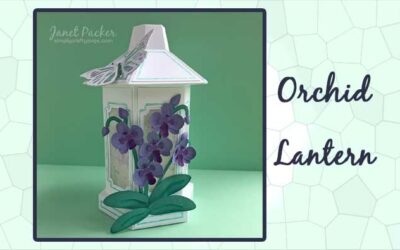 Orchid Lantern by DT Janet