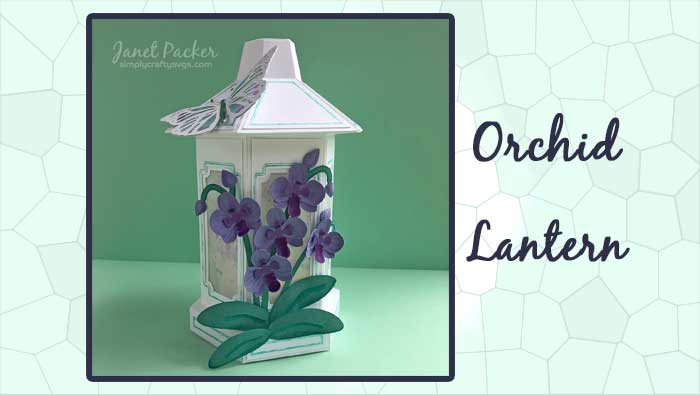 Orchid Lantern by DT Janet