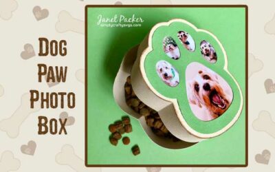 Dog Paw Photo Box by Janet