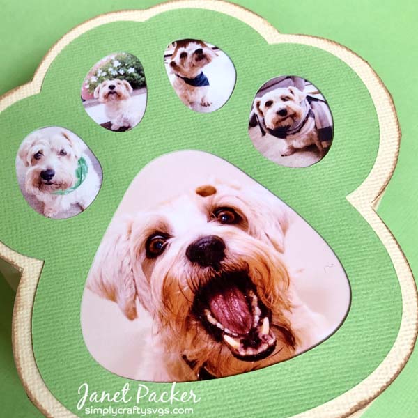 Dog Paw Photo Box by Janet