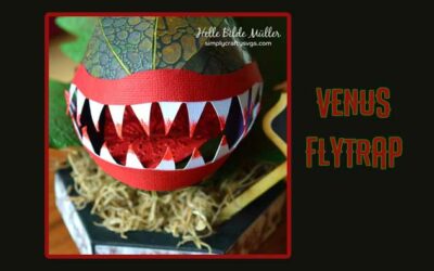 Venus Flytrap by Helle