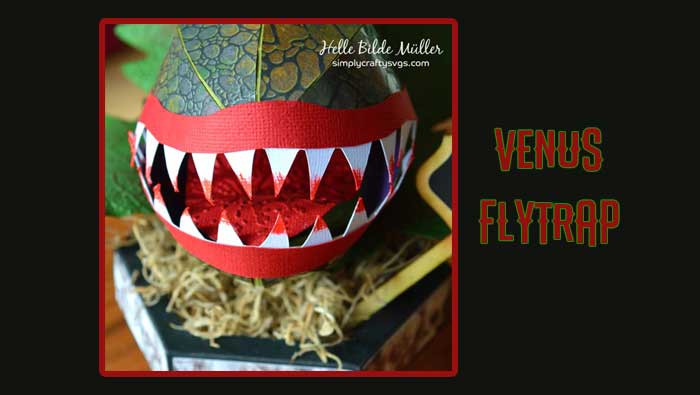 Venus Flytrap by Helle