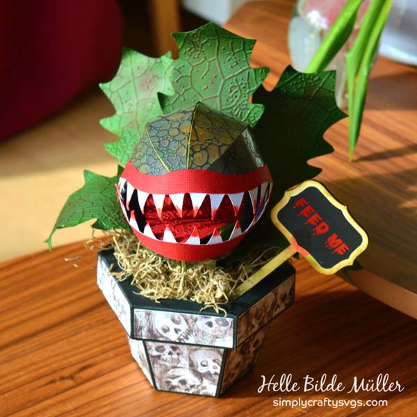 Venus Flytrap by Helle