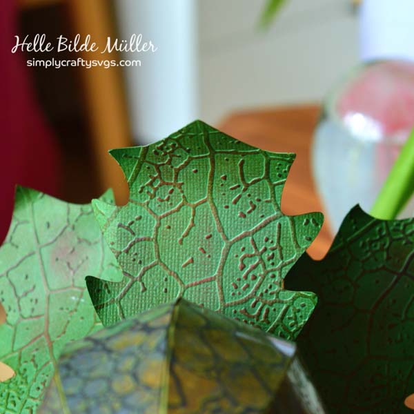Venus Flytrap by Helle