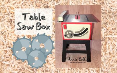 Table Saw Box by Annie