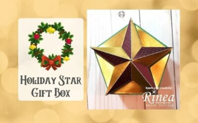 Holiday Star Gift Box by Annie