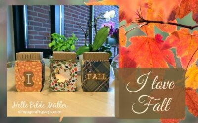 I Love Fall Mason Jars by Helle