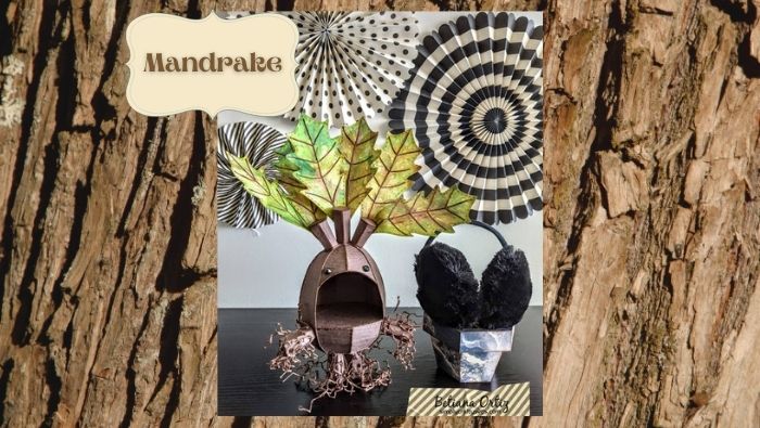 Mandrake by Betiana