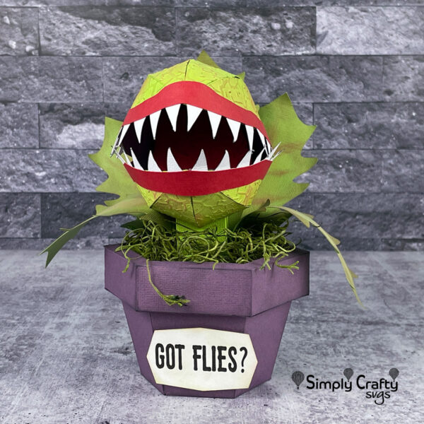 Venus Flytrap SVG File