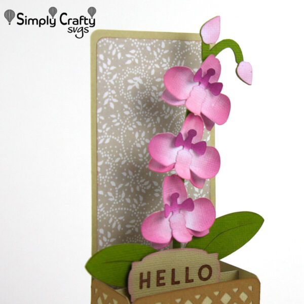 Orchid Box Card SVG