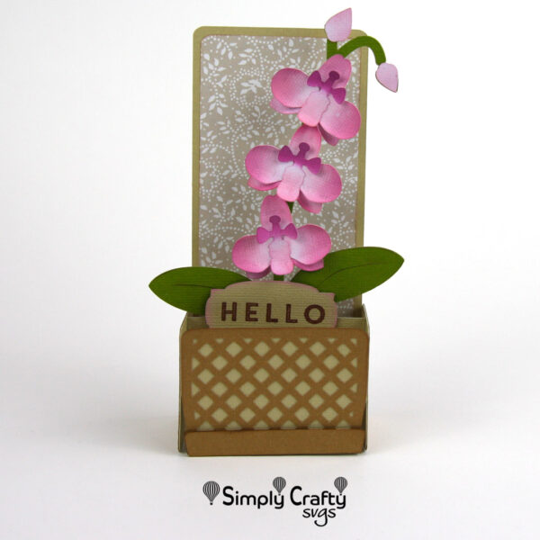 Orchid Box Card SVG