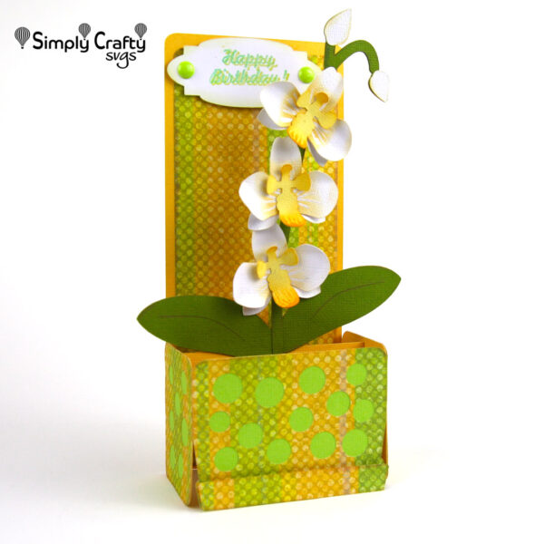 Orchid Box Card SVG