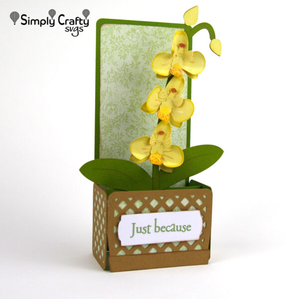 Orchid Box Card SVG