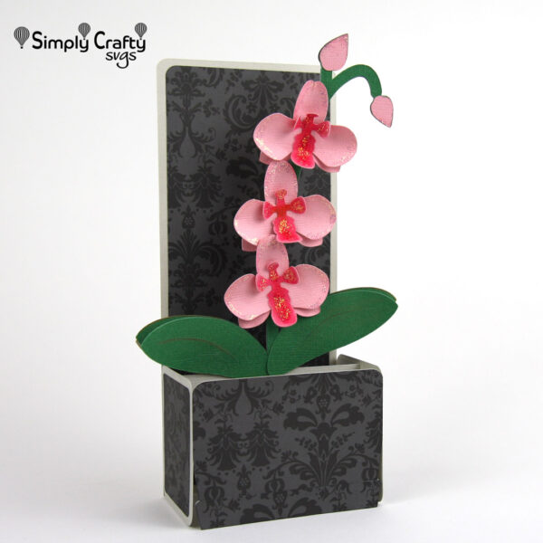 Orchid Box Card SVG