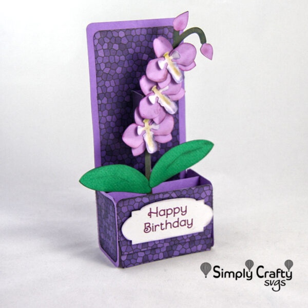 Orchid Box Card SVG